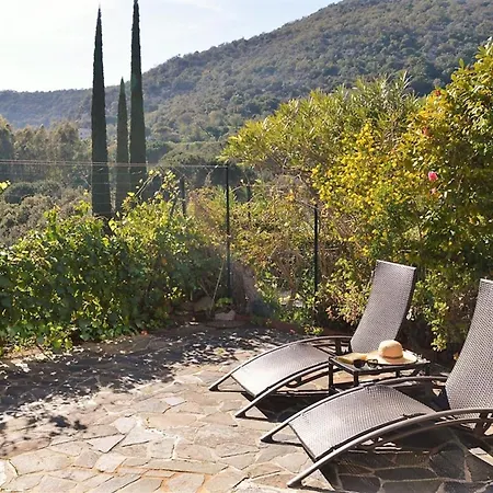 Holiday home Superbe Duplex Avec Terrasse, Piscine Et Parking Au Lavandou - Fr-1-251-567 *